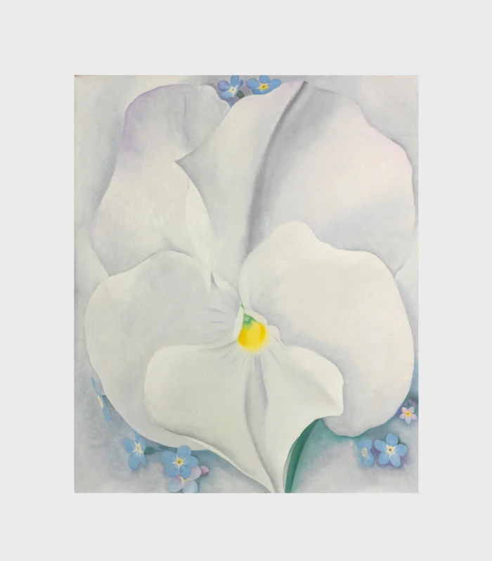 White Pansy – Georgia O’Keeffe, 1927