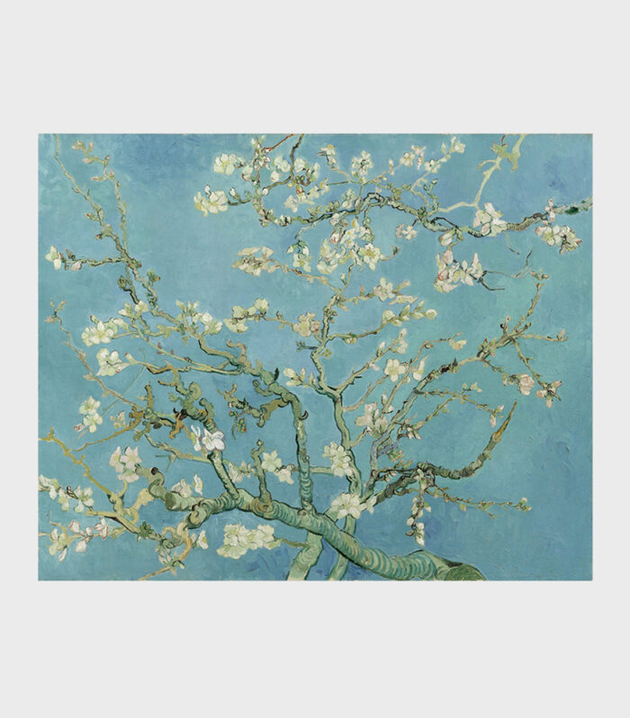 Vincent van Gogh – Blossoming Almond Tree, 1890 - obraz druk na płótnie